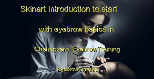 Skinart Introduction to start with eyebrow basics in Chelmozero | EyebrowTraining | EyebrowClasses | SkinartTraining-Russia