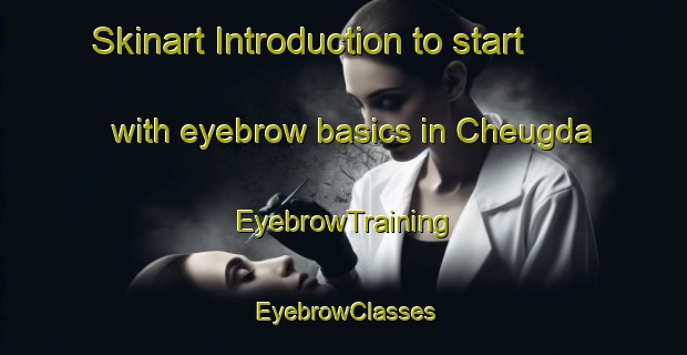 Skinart Introduction to start with eyebrow basics in Cheugda | EyebrowTraining | EyebrowClasses | SkinartTraining-Russia