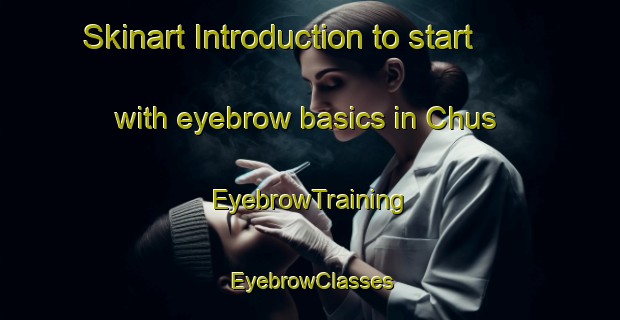 Skinart Introduction to start with eyebrow basics in Chus | EyebrowTraining | EyebrowClasses | SkinartTraining-Russia