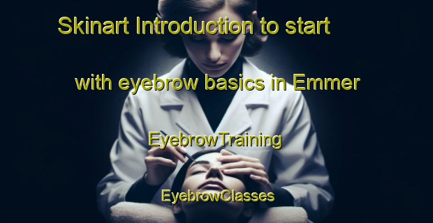 Skinart Introduction to start with eyebrow basics in Emmer | EyebrowTraining | EyebrowClasses | SkinartTraining-Russia