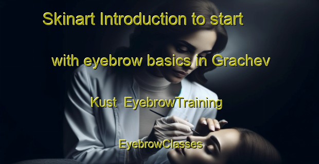 Skinart Introduction to start with eyebrow basics in Grachev Kust | EyebrowTraining | EyebrowClasses | SkinartTraining-Russia