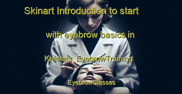 Skinart Introduction to start with eyebrow basics in Krestets | EyebrowTraining | EyebrowClasses | SkinartTraining-Russia
