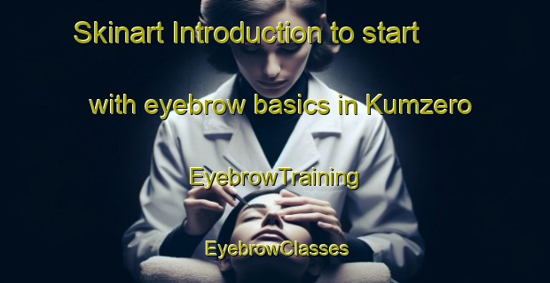 Skinart Introduction to start with eyebrow basics in Kumzero | EyebrowTraining | EyebrowClasses | SkinartTraining-Russia