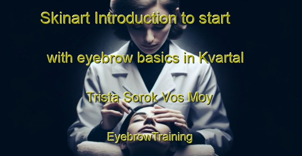 Skinart Introduction to start with eyebrow basics in Kvartal Trista Sorok Vos Moy | EyebrowTraining | EyebrowClasses | SkinartTraining-Russia