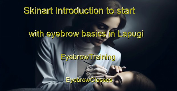 Skinart Introduction to start with eyebrow basics in Lapugi | EyebrowTraining | EyebrowClasses | SkinartTraining-Russia