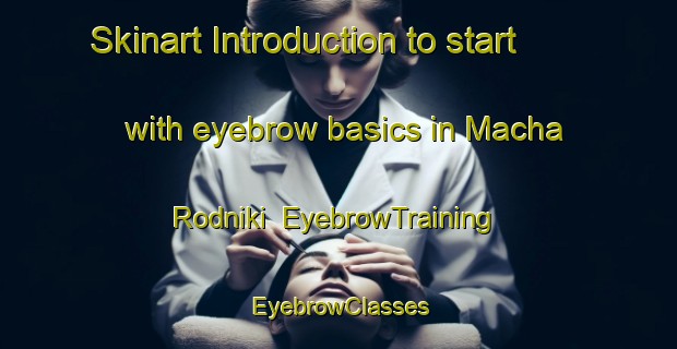 Skinart Introduction to start with eyebrow basics in Macha Rodniki | EyebrowTraining | EyebrowClasses | SkinartTraining-Russia
