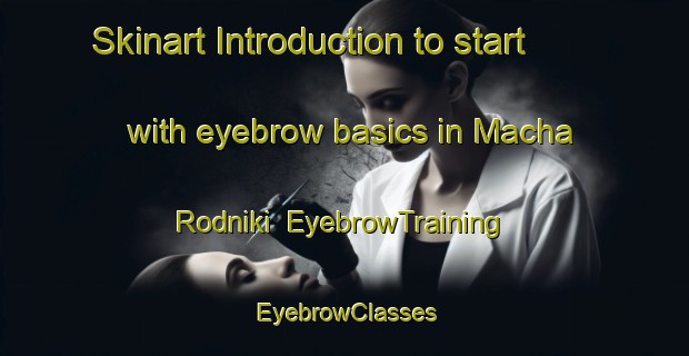 Skinart Introduction to start with eyebrow basics in Macha Rodniki | EyebrowTraining | EyebrowClasses | SkinartTraining-Russia