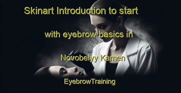 Skinart Introduction to start with eyebrow basics in Novobelyy Kamen | EyebrowTraining | EyebrowClasses | SkinartTraining-Russia