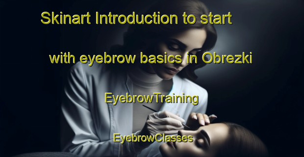 Skinart Introduction to start with eyebrow basics in Obrezki | EyebrowTraining | EyebrowClasses | SkinartTraining-Russia