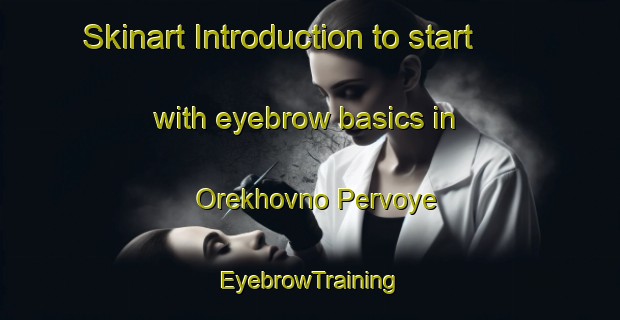 Skinart Introduction to start with eyebrow basics in Orekhovno Pervoye | EyebrowTraining | EyebrowClasses | SkinartTraining-Russia
