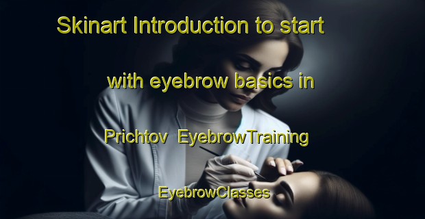 Skinart Introduction to start with eyebrow basics in Prichtov | EyebrowTraining | EyebrowClasses | SkinartTraining-Russia