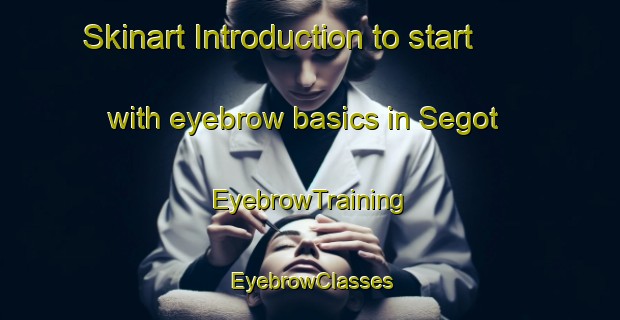 Skinart Introduction to start with eyebrow basics in Segot | EyebrowTraining | EyebrowClasses | SkinartTraining-Russia