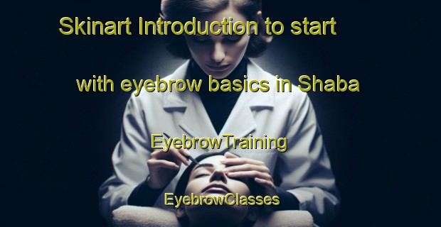 Skinart Introduction to start with eyebrow basics in Shaba | EyebrowTraining | EyebrowClasses | SkinartTraining-Russia
