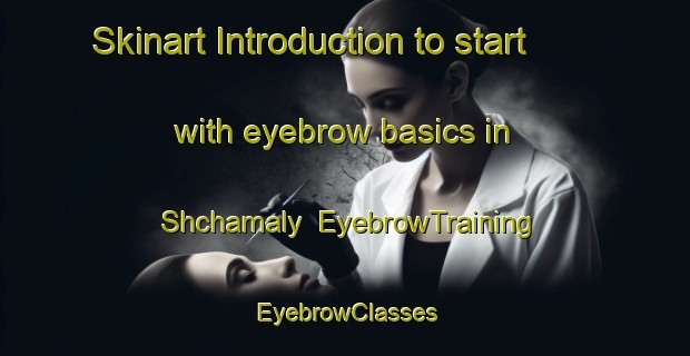 Skinart Introduction to start with eyebrow basics in Shchamaly | EyebrowTraining | EyebrowClasses | SkinartTraining-Russia