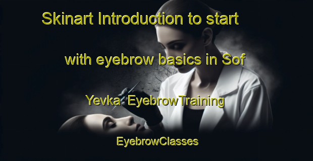 Skinart Introduction to start with eyebrow basics in Sof Yevka | EyebrowTraining | EyebrowClasses | SkinartTraining-Russia
