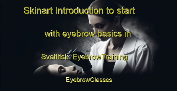 Skinart Introduction to start with eyebrow basics in Svetlitsk | EyebrowTraining | EyebrowClasses | SkinartTraining-Russia
