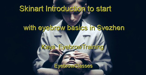 Skinart Introduction to start with eyebrow basics in Svezhen Kaya | EyebrowTraining | EyebrowClasses | SkinartTraining-Russia