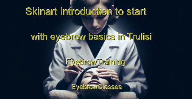 Skinart Introduction to start with eyebrow basics in Trulisi | EyebrowTraining | EyebrowClasses | SkinartTraining-Russia