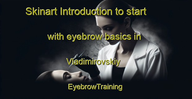 Skinart Introduction to start with eyebrow basics in Vladimirovskiy | EyebrowTraining | EyebrowClasses | SkinartTraining-Russia