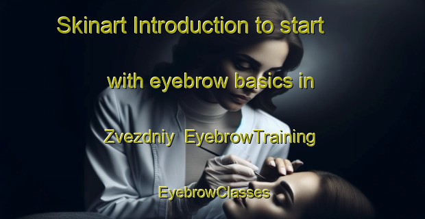 Skinart Introduction to start with eyebrow basics in Zvezdniy | EyebrowTraining | EyebrowClasses | SkinartTraining-Russia