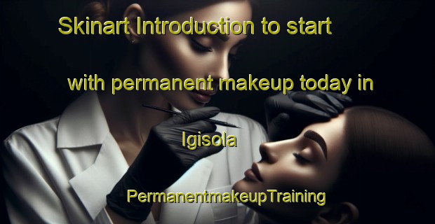 Skinart Introduction to start with permanent makeup today in Igisola | #PermanentmakeupTraining #PermanentmakeupClasses #SkinartTraining-Russia