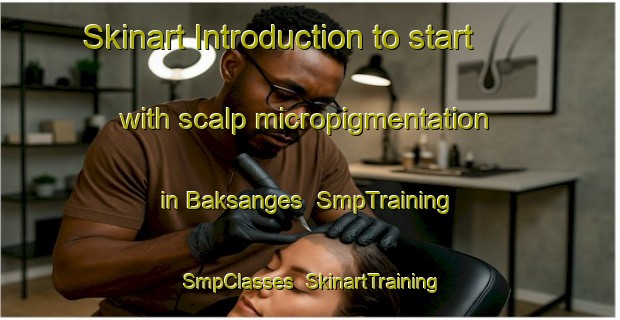 Skinart Introduction to start with scalp micropigmentation in Baksanges | SmpTraining | SmpClasses | SkinartTraining-Russia