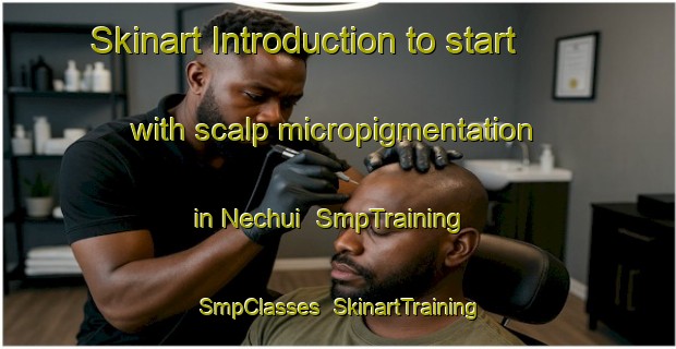 Skinart Introduction to start with scalp micropigmentation in Nechui | SmpTraining | SmpClasses | SkinartTraining-Russia