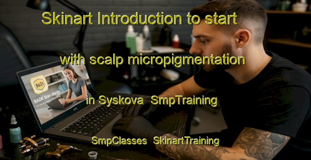 Skinart Introduction to start with scalp micropigmentation in Syskova | SmpTraining | SmpClasses | SkinartTraining-Russia