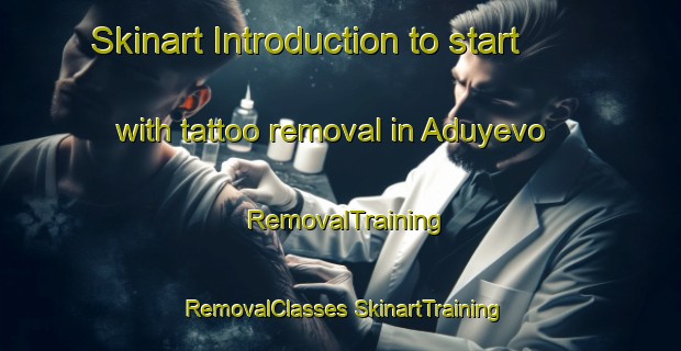 Skinart Introduction to start with tattoo removal in Aduyevo | #RemovalTraining #RemovalClasses #SkinartTraining-Russia