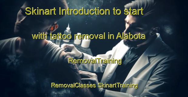 Skinart Introduction to start with tattoo removal in Alabota | #RemovalTraining #RemovalClasses #SkinartTraining-Russia