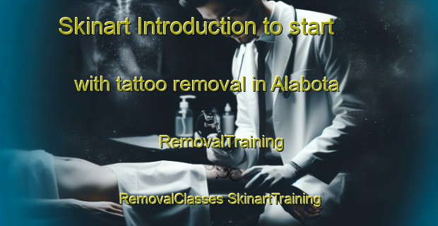 Skinart Introduction to start with tattoo removal in Alabota | #RemovalTraining #RemovalClasses #SkinartTraining-Russia