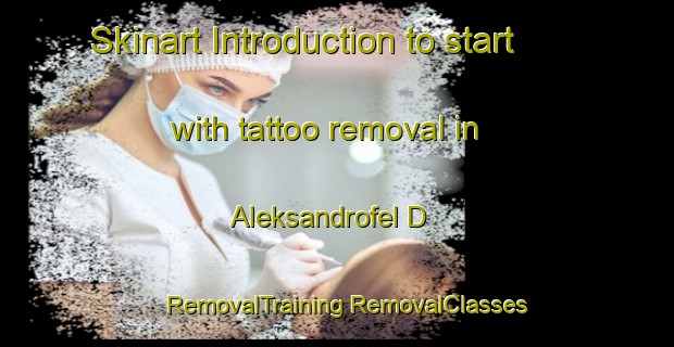 Skinart Introduction to start with tattoo removal in Aleksandrofel D | #RemovalTraining #RemovalClasses #SkinartTraining-Russia