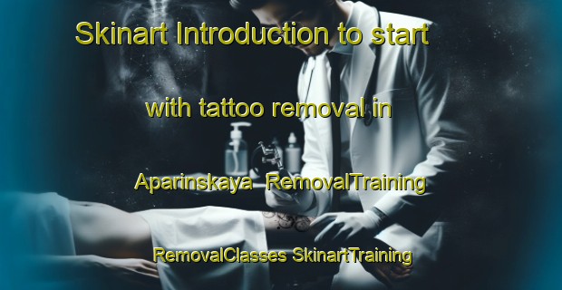 Skinart Introduction to start with tattoo removal in Aparinskaya | #RemovalTraining #RemovalClasses #SkinartTraining-Russia