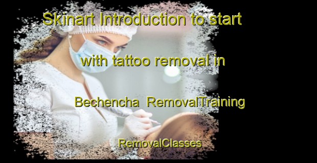 Skinart Introduction to start with tattoo removal in Bechencha | RemovalTraining | RemovalClasses | SkinartTraining-Russia