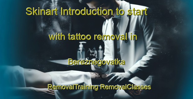 Skinart Introduction to start with tattoo removal in Bereznegovatka | #RemovalTraining #RemovalClasses #SkinartTraining-Russia