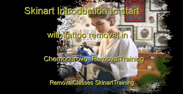 Skinart Introduction to start with tattoo removal in Chemodurovo | #RemovalTraining #RemovalClasses #SkinartTraining-Russia