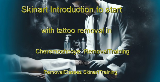 Skinart Introduction to start with tattoo removal in Cheremoshnoye | #RemovalTraining #RemovalClasses #SkinartTraining-Russia