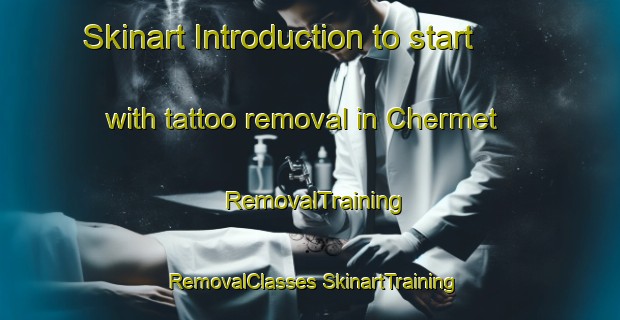 Skinart Introduction to start with tattoo removal in Chermet | #RemovalTraining #RemovalClasses #SkinartTraining-Russia