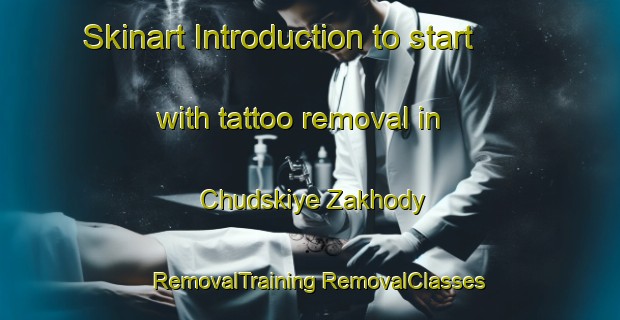 Skinart Introduction to start with tattoo removal in Chudskiye Zakhody | #RemovalTraining #RemovalClasses #SkinartTraining-Russia