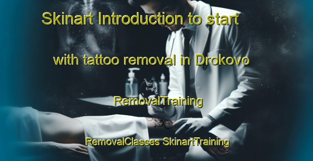 Skinart Introduction to start with tattoo removal in Drokovo | #RemovalTraining #RemovalClasses #SkinartTraining-Russia