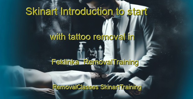 Skinart Introduction to start with tattoo removal in Feklinka | #RemovalTraining #RemovalClasses #SkinartTraining-Russia