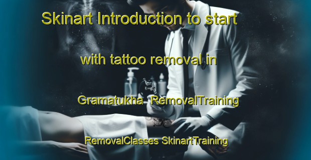 Skinart Introduction to start with tattoo removal in Gramatukha | #RemovalTraining #RemovalClasses #SkinartTraining-Russia