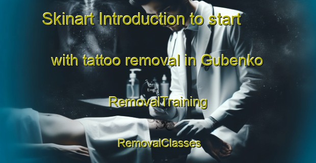 Skinart Introduction to start with tattoo removal in Gubenko | RemovalTraining | RemovalClasses | SkinartTraining-Russia