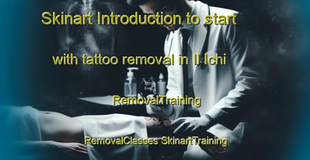 Skinart Introduction to start with tattoo removal in Il Ichi | #RemovalTraining #RemovalClasses #SkinartTraining-Russia