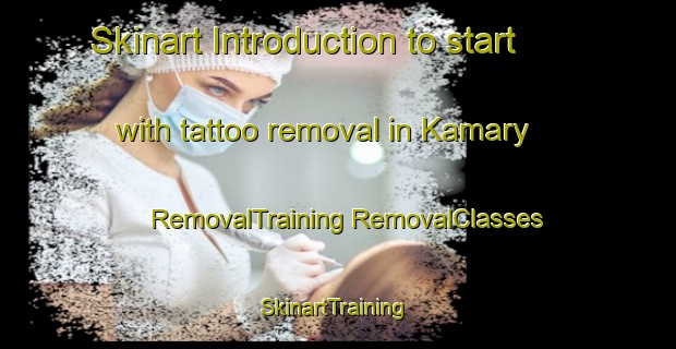 Skinart Introduction to start with tattoo removal in Kamary | #RemovalTraining #RemovalClasses #SkinartTraining-Russia