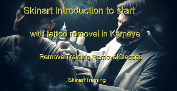 Skinart Introduction to start with tattoo removal in Kameya | #RemovalTraining #RemovalClasses #SkinartTraining-Russia