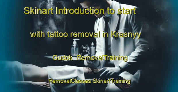 Skinart Introduction to start with tattoo removal in Krasnyy Gudok | #RemovalTraining #RemovalClasses #SkinartTraining-Russia