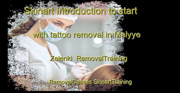 Skinart Introduction to start with tattoo removal in Malyye Zelenki | #RemovalTraining #RemovalClasses #SkinartTraining-Russia