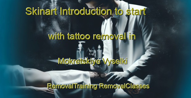 Skinart Introduction to start with tattoo removal in Mokretskiye Vyselki | #RemovalTraining #RemovalClasses #SkinartTraining-Russia