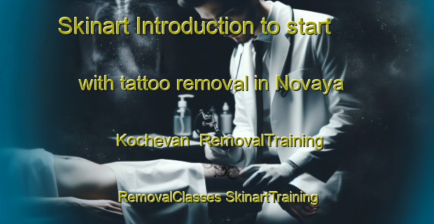 Skinart Introduction to start with tattoo removal in Novaya Kochevan | #RemovalTraining #RemovalClasses #SkinartTraining-Russia